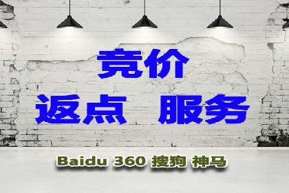 百度推广全攻略：成功案例剖析