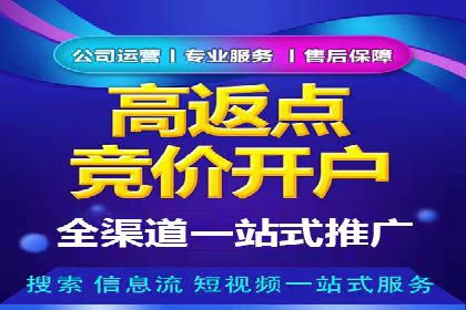 SEM竞价代运营公司案例深度解析